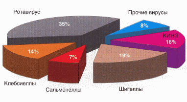 Рис. 2. Этиология ОКИ у детей, леченных Гепоном или без него в группах сравнения.