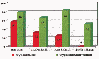 Рис. 5. Санирующая эффективность сочетанного применения фуразолидона с Гепоном в сравнении с монотерапией фуразолидоном.