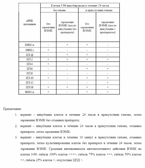 Таблица 2. Цитопатогенное действие ВЭМК на клетки J-96 в зависимости от времени инкубации клеток в присутствии гепона.
